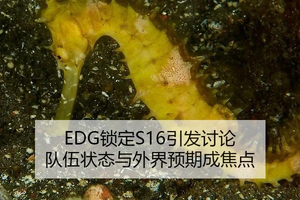 EDG锁定S16引发讨论 队伍状态与外界预期成焦点