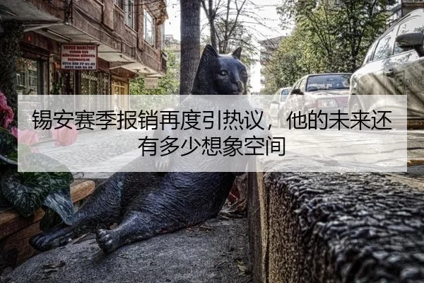 锡安赛季报销再度引热议，他的未来还有多少想象空间